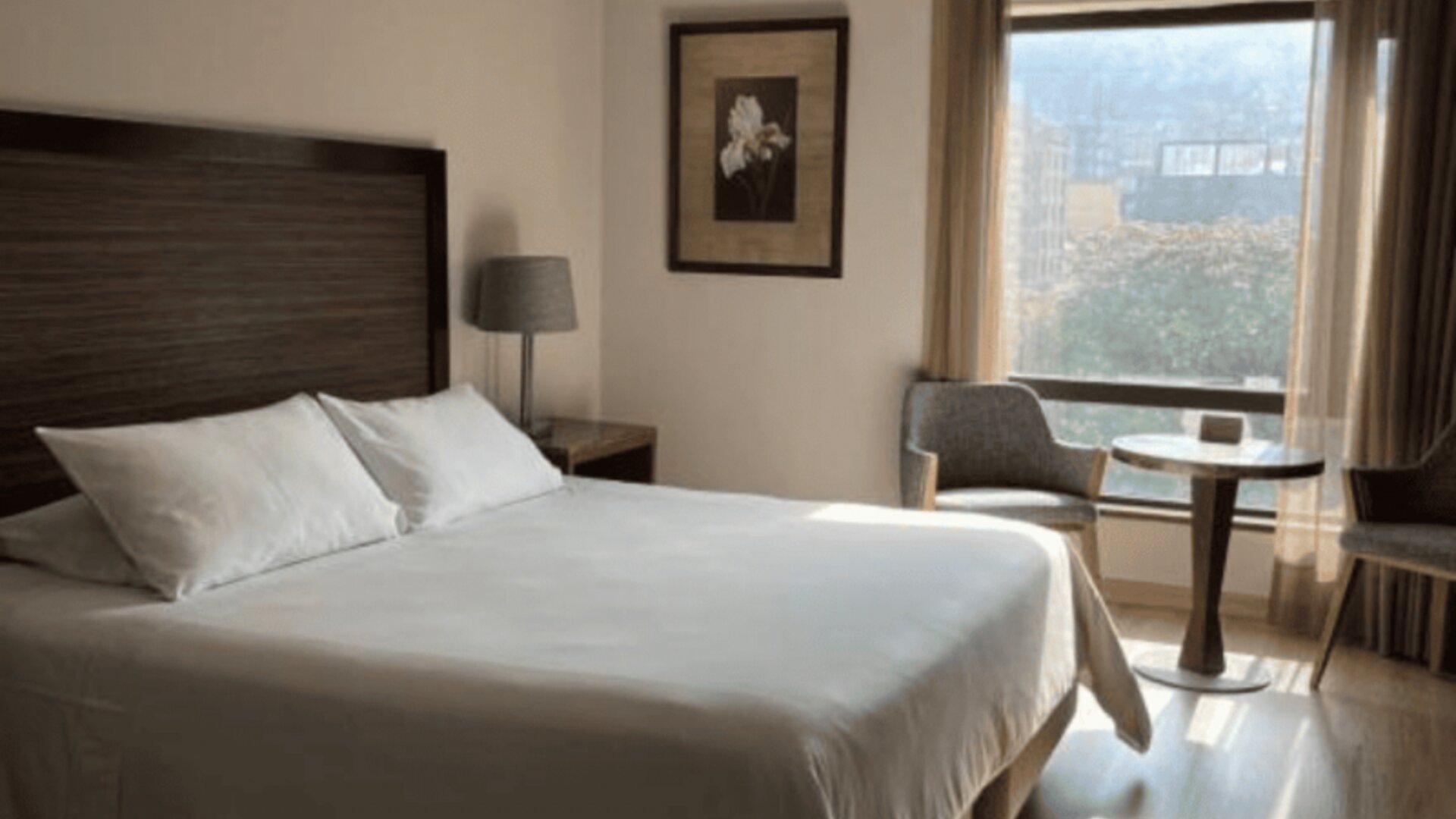 Hotel Morrison by Cosmos Zona Rosa