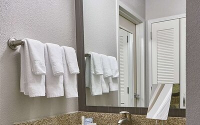 Guest bathroom at Sonesta Select Raleigh Durham Airport Morrisville.