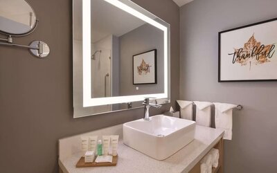 Guest bathroom at Radisson Hotel Atlanta Airport.