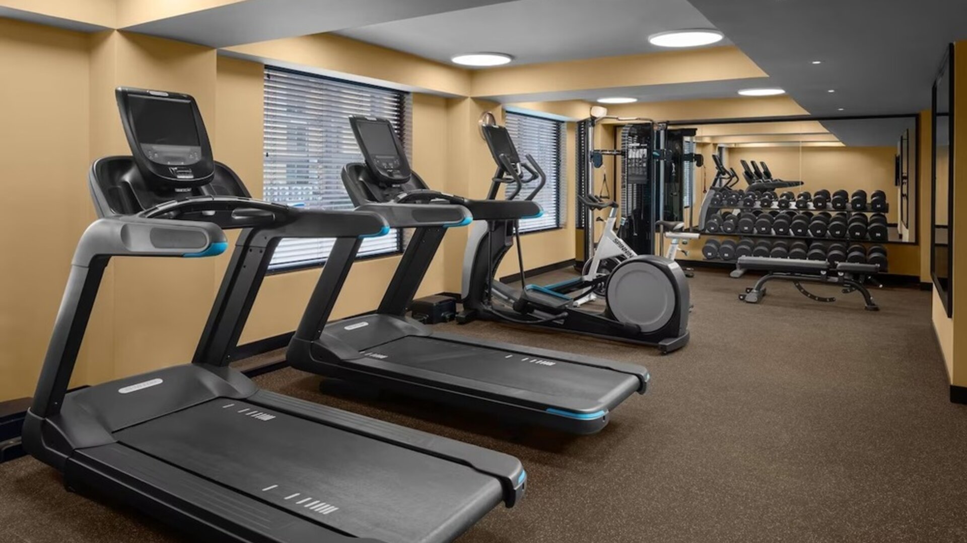 Gym at at ROK Hotel Kingston, Tapestry Collection By Hilton.