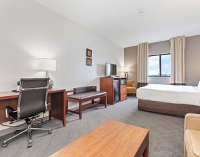 Day use room at Comfort Suites Lombard - Addison.