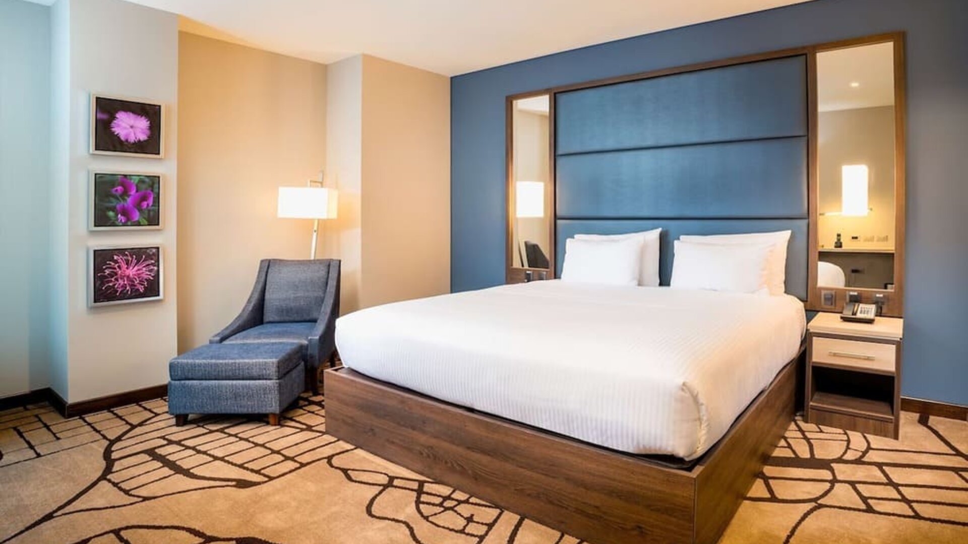 Day use room with natural light at Hilton Garden Inn Bogota Airport.