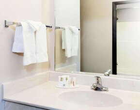 Bathroom with towels at Hotel Piney Woods.