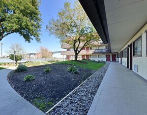 Outdoor grounds at Red Roof Inn PLUS+ Secaucus - Meadowlands - NYC