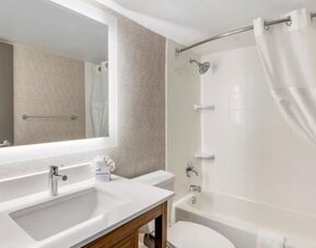 Guest bathroom at Holiday Inn Express Chicago - Downers Grove.