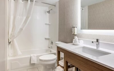 Guest bathroom at Holiday Inn Express Chicago - Downers Grove.