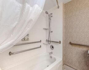 Guest bathroom at Holiday Inn Express Chicago - Downers Grove.