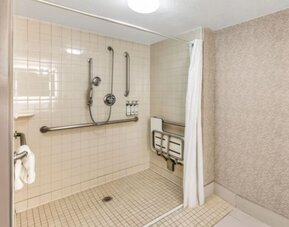 Guest bathroom at Holiday Inn Express Chicago - Downers Grove.