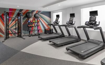 Fitness center at Hilton Garden Inn Queens/JFK Airport with treadmills, weights, and colorful mural wall.