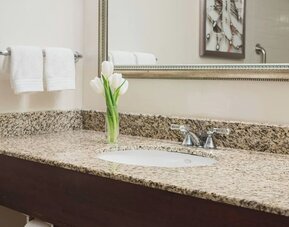 Bathroom vanity with granite countertop, framed mirror, sink, and fresh flowers at Renaissance Newark Airport Hotel.