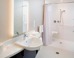 Accessible bathroom with walk-in shower, sink, mirror, and support rails at Springhill Suites Carle Place.