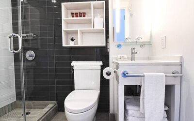 Bathroom with walk-in shower, sink, mirror, and shelving at Edge Hotel NYC.