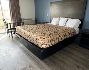 Day room with natural light and king bed at Economy Inn.