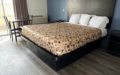 Day room with natural light and king bed at Economy Inn.