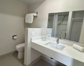 Guest bathroom with shower and toilet at Economy Inn.