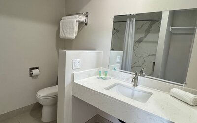 Guest bathroom with shower and toilet at Economy Inn.