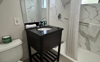 Guest bathroom with shower and toilet at Economy Inn.