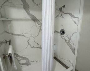 Guest bathroom with shower and toilet at Economy Inn.