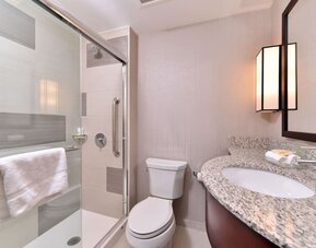 Bathroom with glass-enclosed shower, toilet, vanity sink, and granite countertop at Holiday Inn New York City - Times Square By IHG.