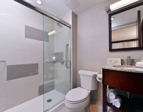 Bathroom with walk-in shower, toilet, curved granite sink, and modern lighting at Holiday Inn New York City - Times Square By IHG.