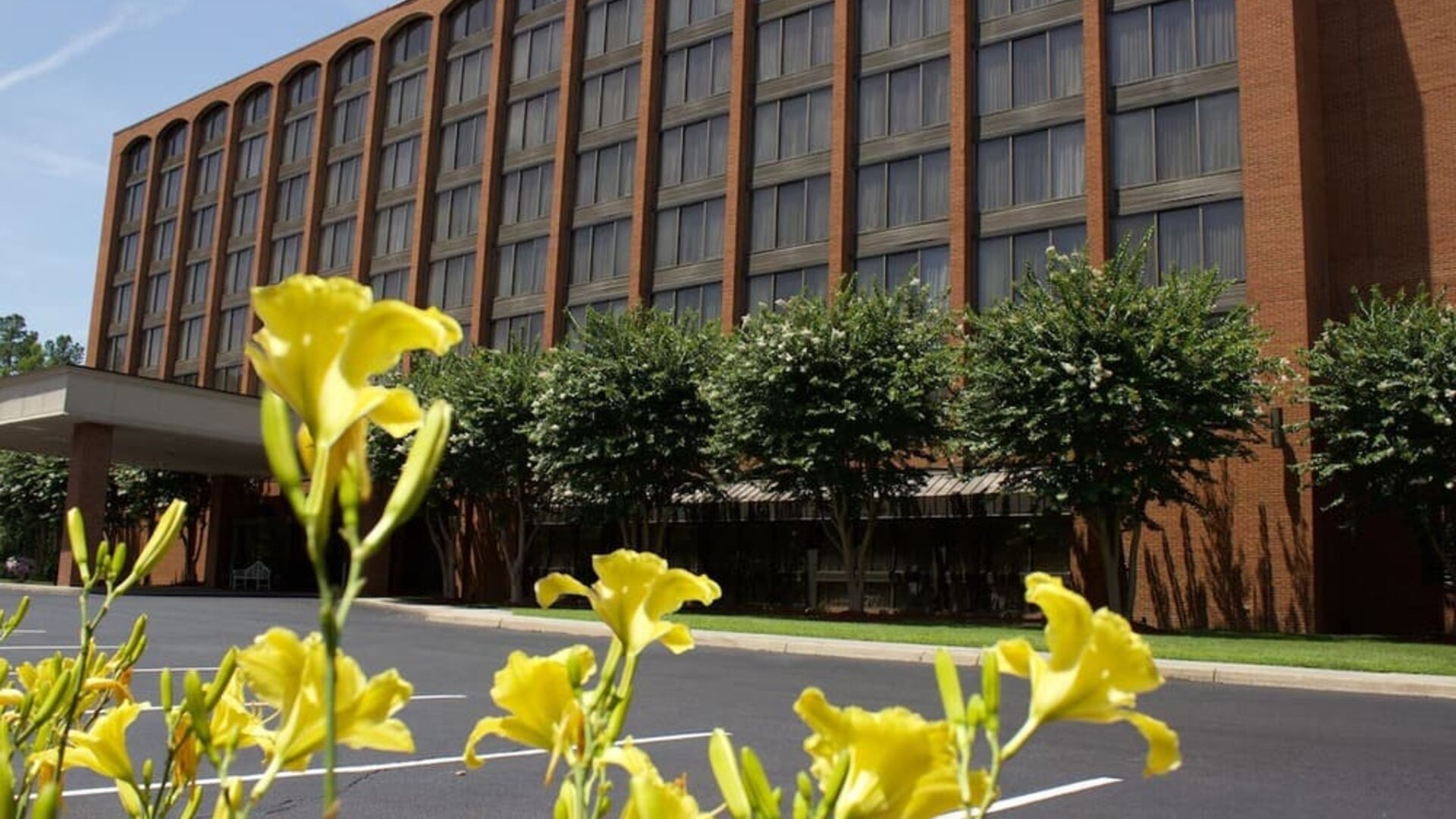 Exterior view with landscaped surroundings and classic brick architecture at Wyndham Garden Williamsburg Busch Gardens Area.