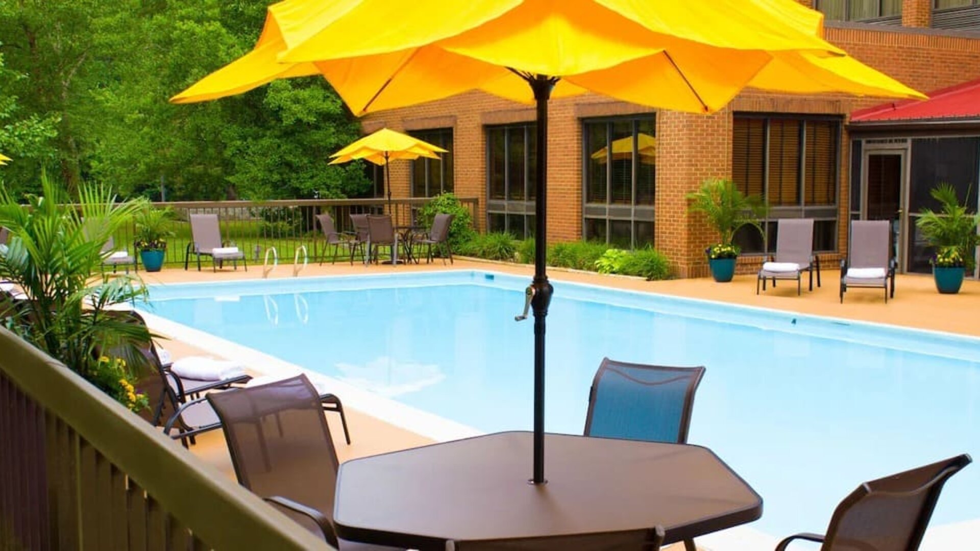 Outdoor pool area with sun loungers, umbrellas, and surrounding greenery at Wyndham Garden Williamsburg Busch Gardens Area.