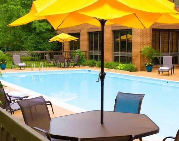 Outdoor pool area with sun loungers, umbrellas, and surrounding greenery at Wyndham Garden Williamsburg Busch Gardens Area.