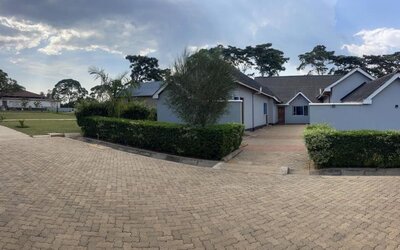 Pathway leading to lodge units bordered by trimmed hedges and greenery within the Sega Lodge property.