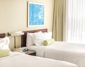 Two double beds with white linens and green bolster pillows, shared nightstand with phone, wall art, and large window with sheer curtains at Marriott SpringHill Suites Naperville/Warrenville.