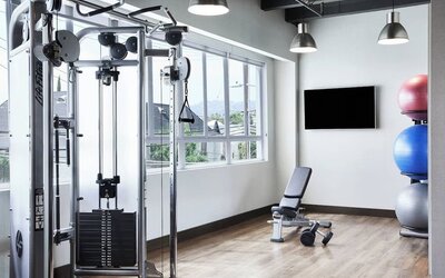 Fitness center with weight machine, bench, exercise balls, and large windows letting in natural light at AC Hotel By Marriott Beverly Hills.