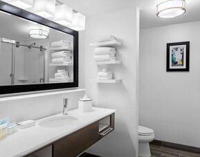 Clean bathroom with large vanity, illuminated mirror, glass shower, and neatly arranged towels at Hampton Inn & Suites Los Angeles / Hollywood.
