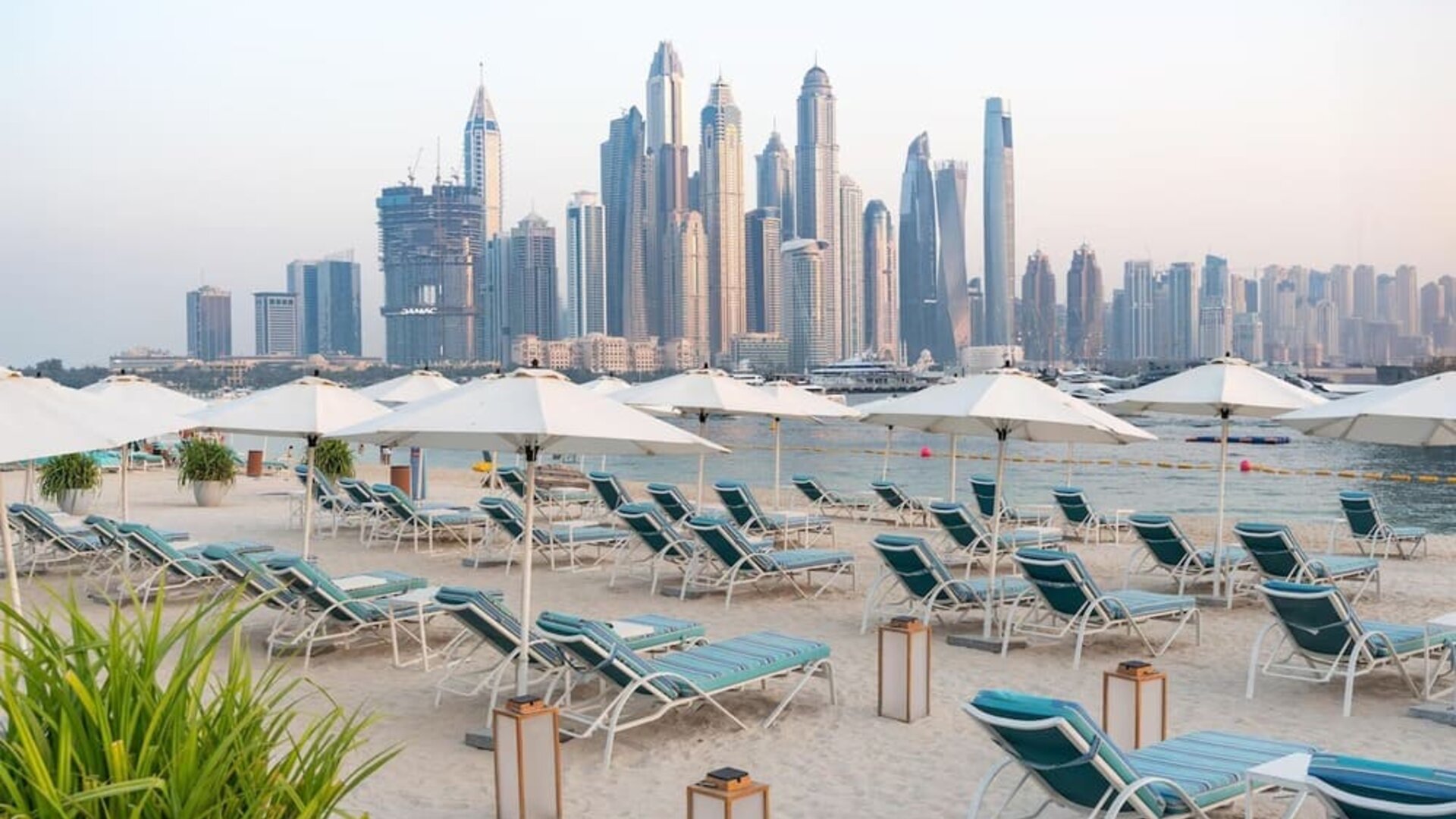 Sandy beach with rows of teal lounge chairs and white umbrellas facing calm water and tall city skyline