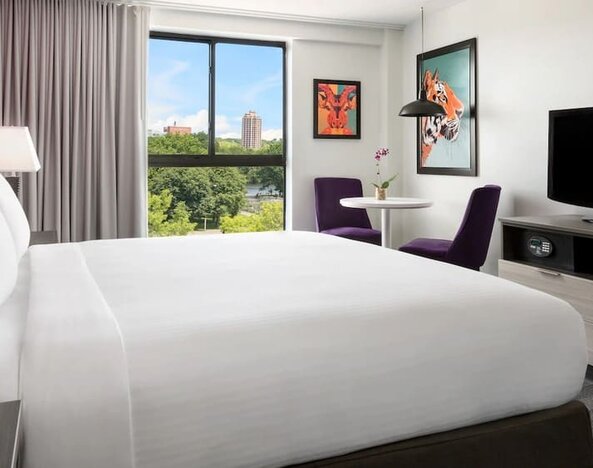 Modern king guest room with colorful artwork and park views at Hotel Studio Allston.