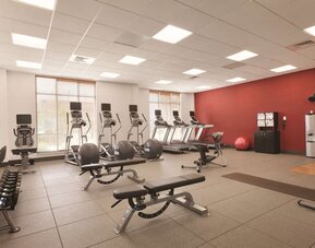 Fitness center with treadmills, weights, exercise benches, and large windows at Hilton Garden Inn Boston Logan Airport.