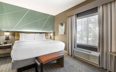 Contemporary king guest room with geometric accent wall, bench seating, and natural light at Comfort Inn & Suites Port Charlotte-Punta Gorda.