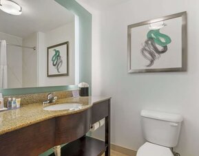 Modern guest bathroom with granite vanity countertop, illuminated mirror, and contemporary décor at Comfort Inn & Suites Port Charlotte-Punta Gorda.