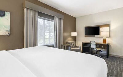 Comfortable guest room with workspace, lounge chair, and large window for natural light at Comfort Inn & Suites Port Charlotte-Punta Gorda.