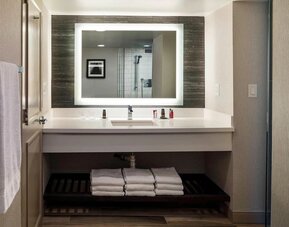 Modern guest bathroom with illuminated vanity mirror, spacious countertop, and contemporary finishes at Boston Marriott Newton.