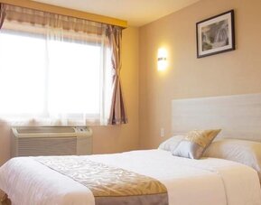 Bright standard guest room with soft neutral décor, natural lighting, and comfortable queen bed at Phoenix Hotel Brooklyn Sunset Park.