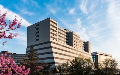 APA Hotel Woodbridge