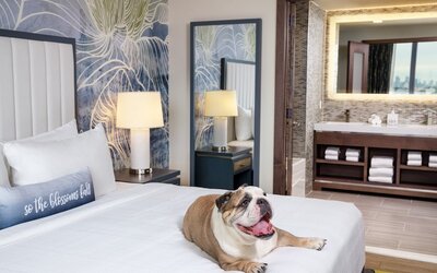 Hotel Indigo Flushing - LaGuardia by IHG