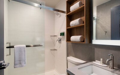TownePlace Suites by Marriott New York Long Island City/Manhattan View