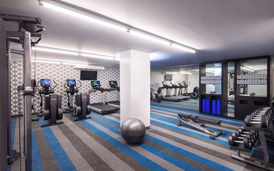 Aloft by Marriott Long Island City-Manhattan View