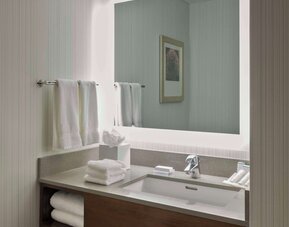 Hilton Garden Inn Long Island City New York