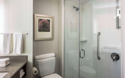 Hilton Garden Inn Long Island City New York