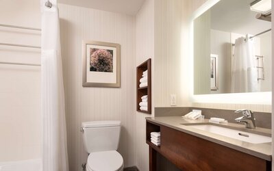 Hilton Garden Inn Long Island City New York