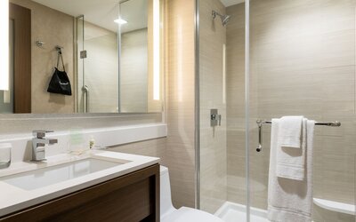 Holiday Inn Brooklyn Downtown by IHG