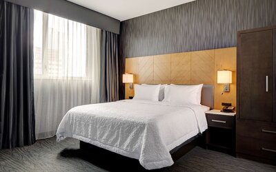 Hampton Inn Brooklyn/Downtown
