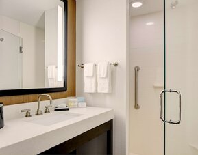Hampton Inn Brooklyn/Downtown