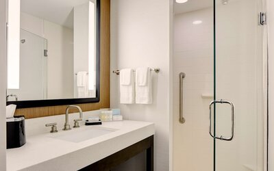Hampton Inn Brooklyn/Downtown